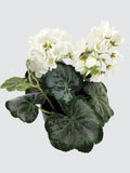Artificial White Geranium Potted Plant - Realistic Small Artificial Flower - Faux Potted Plant - Small White Geranium Flower in Pot faux plants