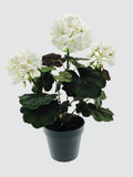 Large Artificial White Geranium Flower Potted Houseplant - Realistic Artificial Flower - Faux Potted Plant - No Maintenance Plant faux plants