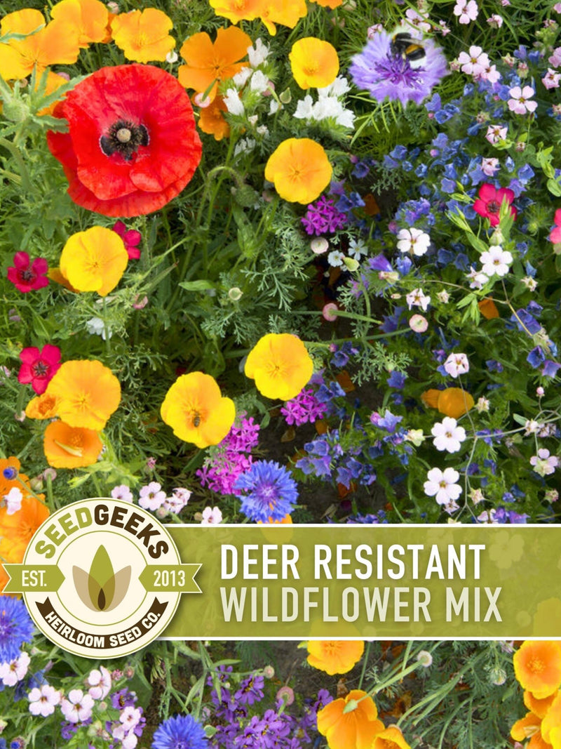 Deer Resistant Wildflower Seed Mix Ð 1lb Bulk, Non GMO seeds bulk