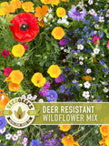 Deer Resistant Wildflower Seed Mix Ð 1lb Bulk, Non GMO seeds bulk