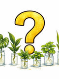 Mystery Plant Cutting  | Surprise Tropical Houseplant | Rare & Common Varieties | Unrooted Cutting | Beginner Friendly Gift faux plants