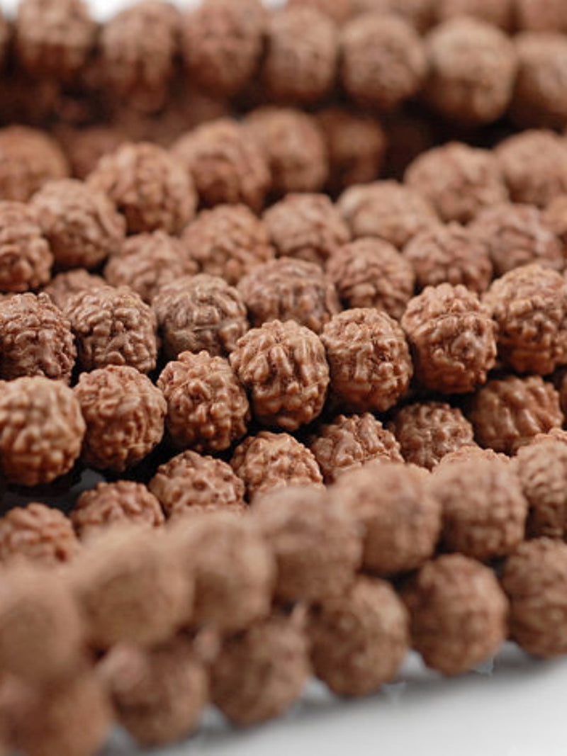 6mm Natural Rudraksha Bodhi Seed Gemstone Rare Mala Prayer Red Brown Round Loose Beads 23 inch 108 Beads (90182472-393) seeds bulk