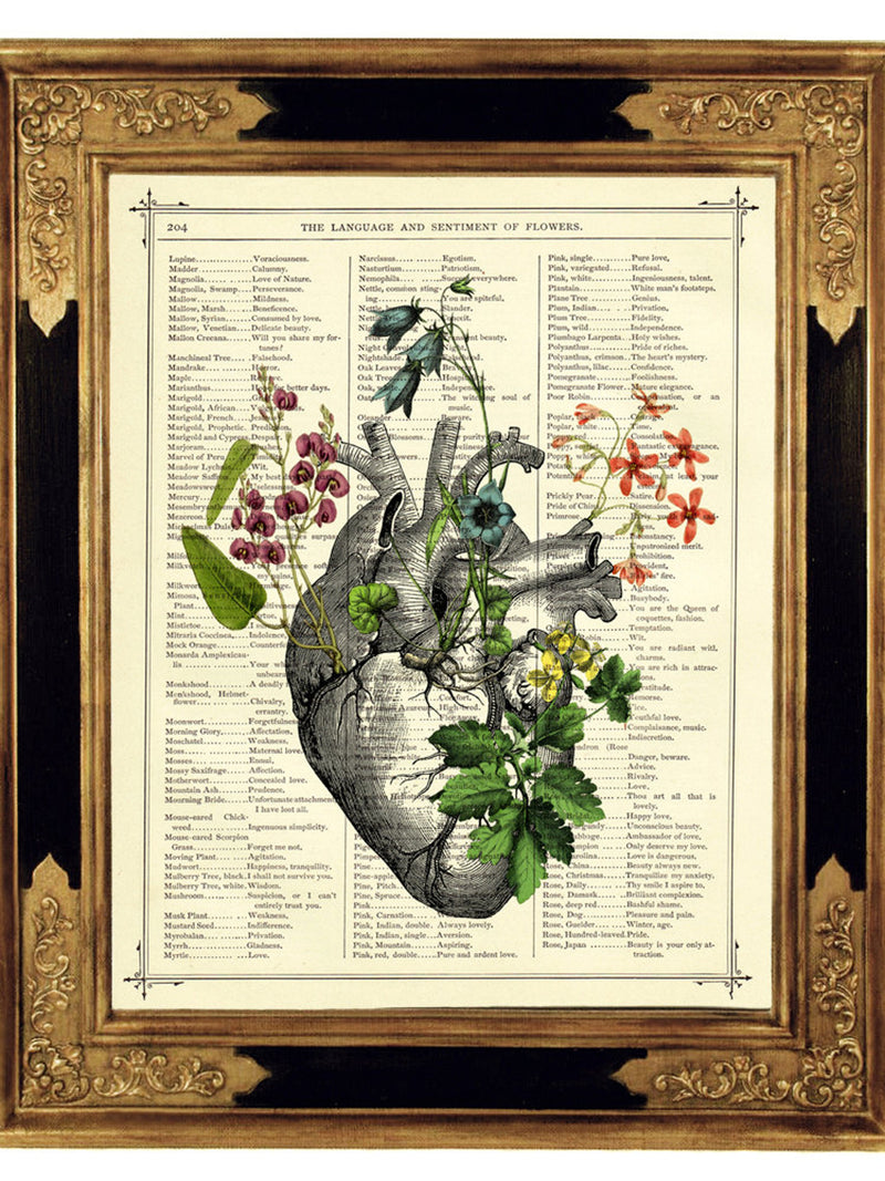 Anatomical Heart Flowers Art Botany II Dark Academia - Vintage Victorian Book Page Art Print Steampunk Valentine's Day Gothic Halloween Love Romance Flower