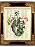 Anatomical Heart Flowers Art Botany II Dark Academia - Vintage Victorian Book Page Art Print Steampunk Valentine's Day Gothic Halloween Love Romance Flower