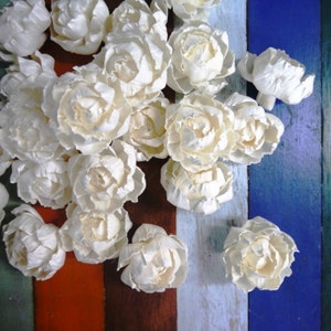 Set of white peony-shaped sola wood diffuser flowers, small round blossoms (5 cm)
