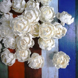 15 Peony Roses Sola Wood Diffuser Flowers 5 cm Dia.