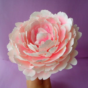 Large pink and white peony paper flower with layered petals, held in hand