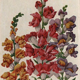 Snapdragons Flowers Plants- Vintage Illustration Image - Antique Picture - Instant Digital Download  - Printable Art File - Spring Art