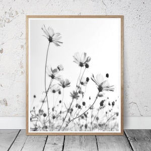 Framed black-and-white botanical flower wall print with scattered blossoms and thin stems