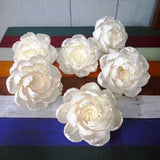 6 Peony Roses Sola Wood Diffuser Flowers with Pollen 10 cm Dia.