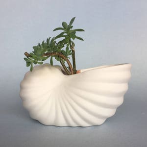 Scalloped shell-shaped ceramic flower pot, white bisque, ready to paint