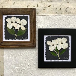 Framed pressed dogwood flower art with white blossoms on dark mat, green stems