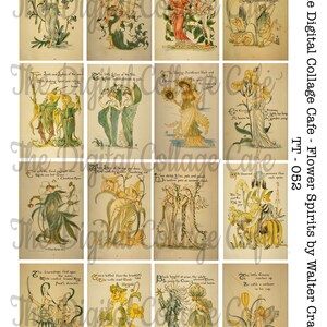 Vintage botanical illustration collage sheet with flower spirits and ornate linework