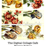 Flower Babies Collage - TT - 053 - Instant  Download