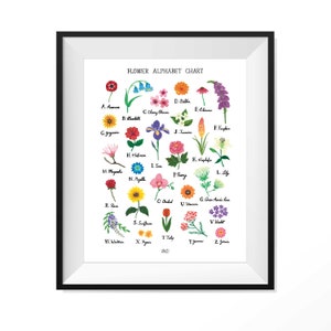 Flower alphabet chart art print with colorful floral letters and framed white border