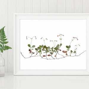 Twinflower Print - Pressed Flower Art - Minimalist Botanical Print - Twin Nursery Decor- Twin Flower - Unframed Fine Art Print