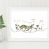 Twinflower Print - Pressed Flower Art - Minimalist Botanical Print - Twin Nursery Decor- Twin Flower - Unframed Fine Art Print