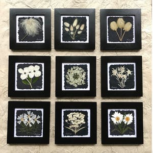 Set of framed pressed flower artworks with black frames and white monochrome flower prints