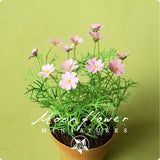 KIT Cosmos (Pale Pink) Miniature garden dollhouse flower kit, scale 1:12,  DIY