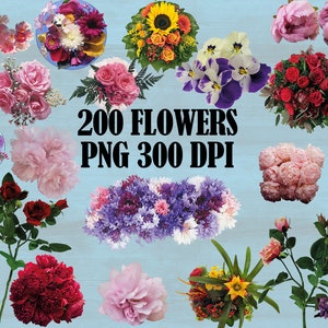 Real flowers PNG clipart bundle with assorted blooms for printing, 200 flowers, 300 DPI