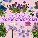 Bundle Real Flowers clipart, red flowers, white flowers, photoshop overlay, PNG Real Flowers, red rose flowers, overlay flower, PNG bundle