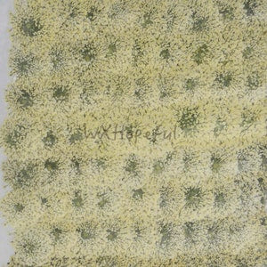100-pack dried pressed white Queen Anne's lace flowers, close-up