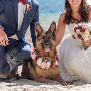 Dog wearing a flower crown with pink and red blooms and a floral collar