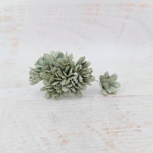 Sage green succulent flower cluster with small bloom accents