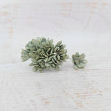 20 20mm sage eucalyptus succulent green flowers, 2 cm flowers