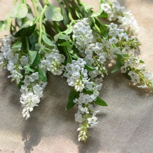 White small-flower sprig floral filler with green leaves, clustered blooms