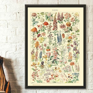Framed vintage botanical flower print poster with colorful blossoms and butterflies