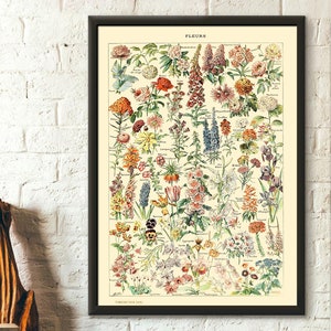 Framed vintage botanical flower poster with colorful plants and blooms on light background