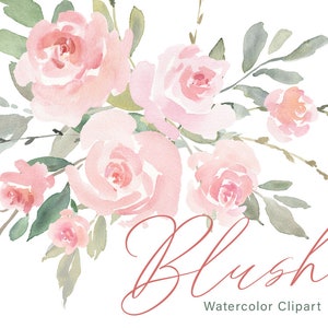 Watercolor floral clipart of blush pink roses with leaves and cursive 'Blush'