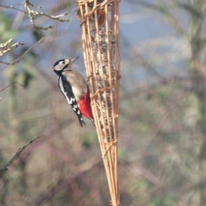 Handmade willow suet bird feeder with small songbird perched