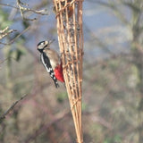Willow bird feeder, or indoor lighting, handmade, Willow, Eco friendly,   for suet balls, 9th wedding anniversary FREE DELIVERY