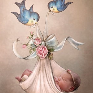 Newborn digital backdrop: sleeping baby in pink floral dress with two blue birds