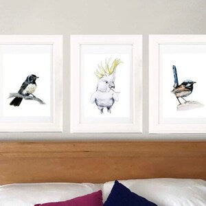 Framed watercolor bird art print set: blue wren, cockatoo, willy wagtail.