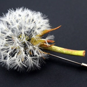 Dandelion brooch with white silk flower head and gold stem, pin backing visible