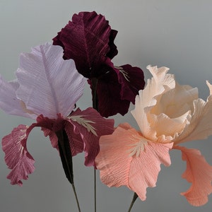 Crepe paper iris flowers in dark purple, peach, and white on stems