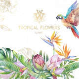 Tropical flowers watercolor clipart, exotic floral clip art, summer party paradise wedding, protea parrot palm leaf Hibiscus leaves flower