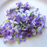Edible Real Flowers: Spicy Horse Radish, 100 Blooms, Salads, Sushi, Cocktail Garnish