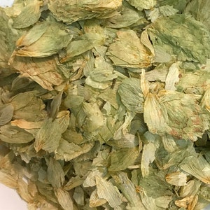 Dried hops flowers, loose pieces in green and pale yellow