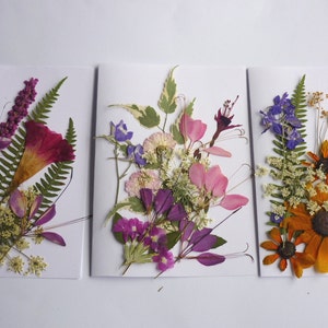 Pressed flower art mixed pack with flat dried flowers on cards, assorted purple and pink blossoms