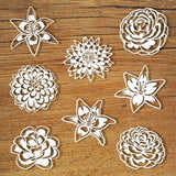 Flowers and Stencil SVG files for Silhouette and Cricut. Flowers clipart PNG transparent included.