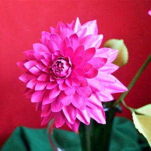 3D paper dahlia flower with layered pink petals and a dark center bloom