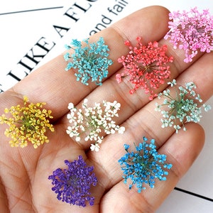 Set of pressed flower resin embellishments in mixed colors, small lace-like blooms