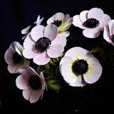 Giant Anemones - Paper Flower - Templates - Digital Delivery - Video Tutorial - SVG - PDF - Silhouette - Scan&Cut