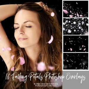 Falling pink and white rose petal Photoshop overlays, wedding and spring romantic set