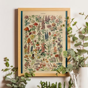 Framed vintage botanical flower print with colorful wildflowers