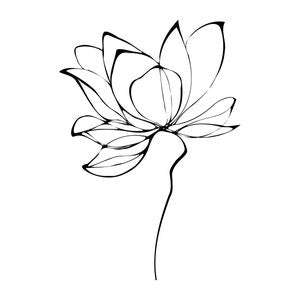 Lotus flower tattoo design in black line art